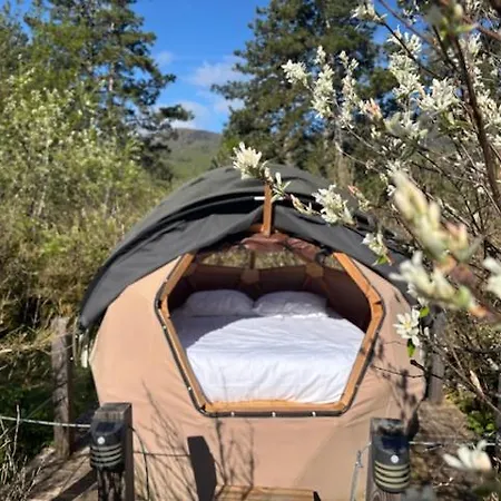 Wigwam Et Dodome Sous Les Etoiles *